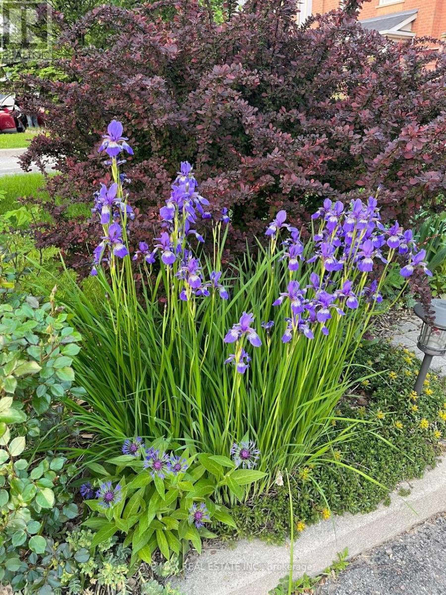 13 Pressed Brick Drive, Brampton, ON - Outdoor