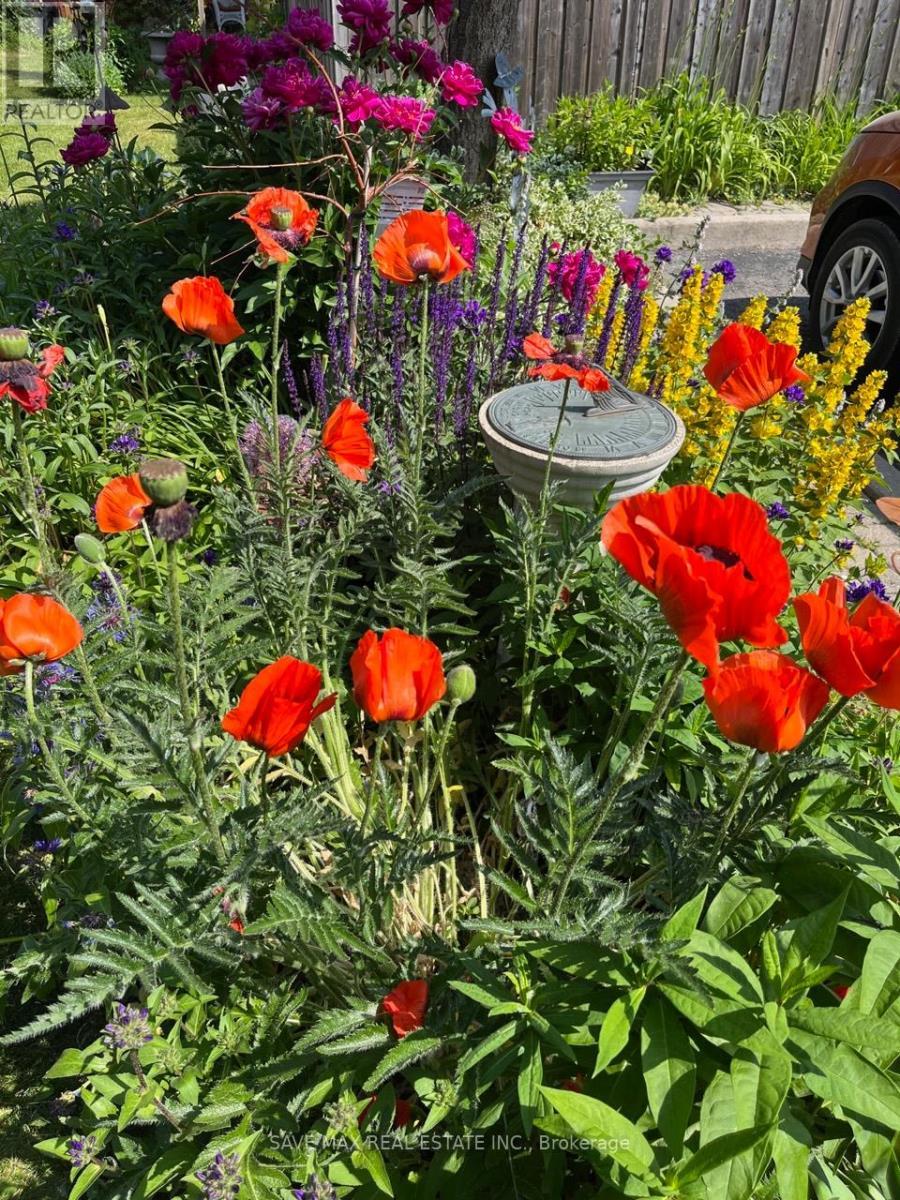 13 Pressed Brick Drive, Brampton, ON - Outdoor