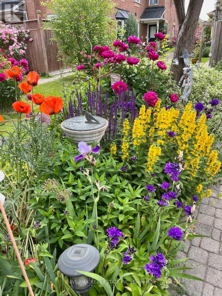 13 Pressed Brick Drive, Brampton, ON - Outdoor