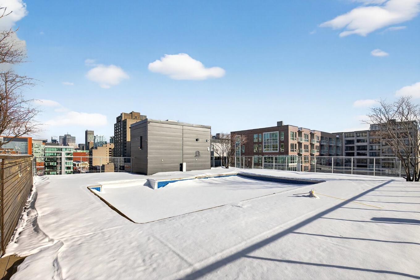 Pool - 310-1414 Rue Chomedey, Montréal (Ville-Marie), QC - Outdoor