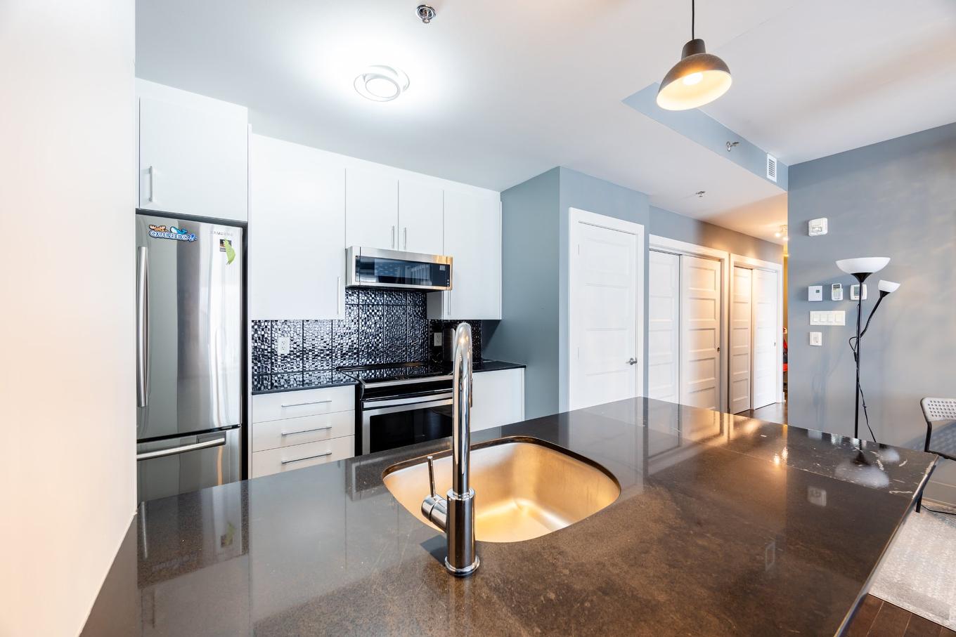 Cuisine - 310-3950 Rue Sherbrooke E., Montréal (Mercier/Hochelaga-Maisonneuve), QC - Indoor Photo Showing Kitchen With Upgraded Kitchen