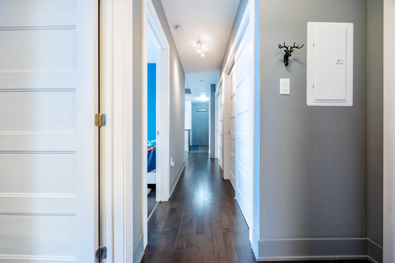 Corridor - 310-3950 Rue Sherbrooke E., Montréal (Mercier/Hochelaga-Maisonneuve), QC - Indoor Photo Showing Other Room