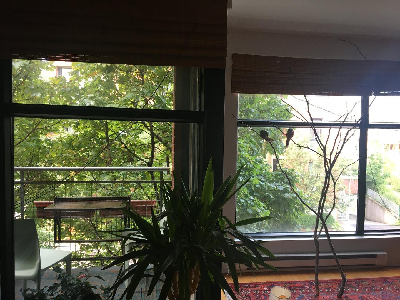 Other - 929 Av. De L'Épée, Montréal (Outremont), QC - Indoor Photo Showing Other Room