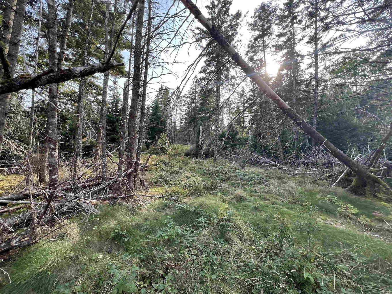 390 Conrads Road, Hubbards, NS