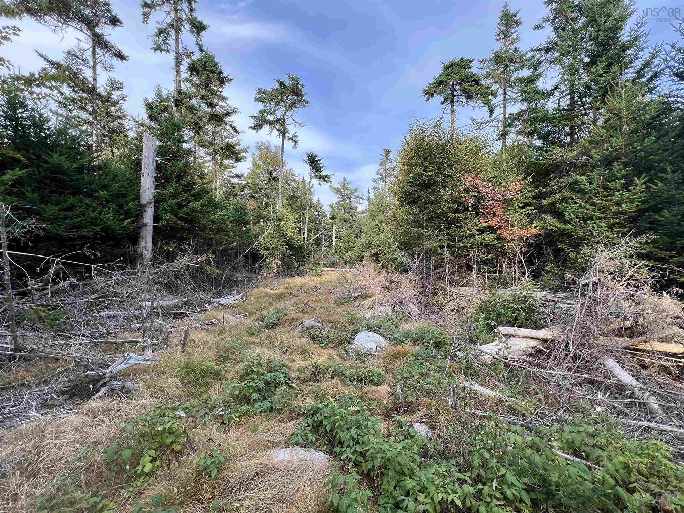 390 Conrads Road, Hubbards, NS