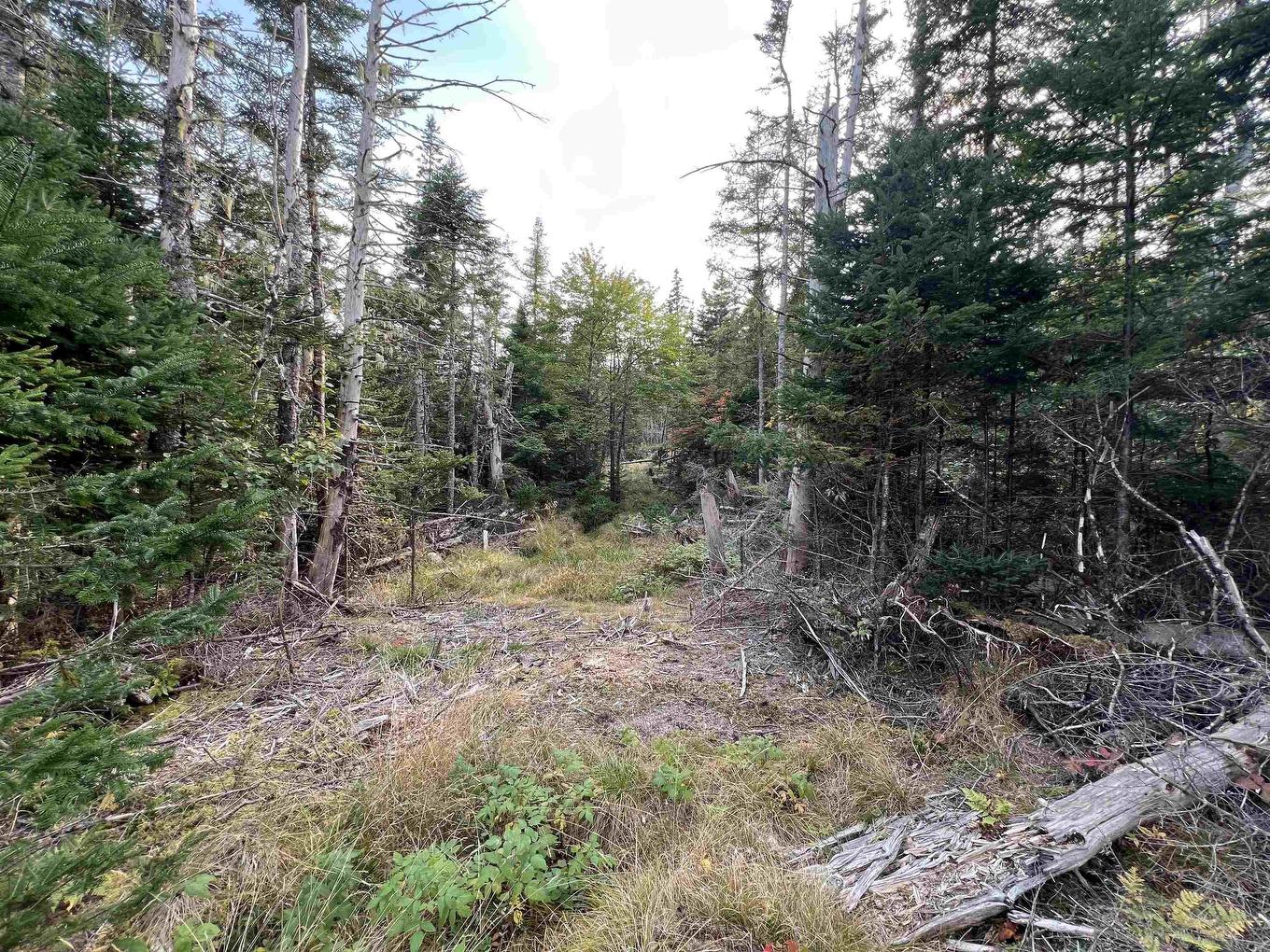 390 Conrads Road, Hubbards, NS