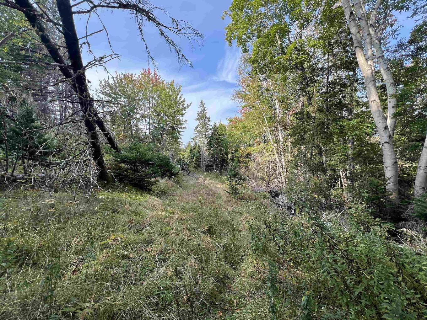 390 Conrads Road, Hubbards, NS