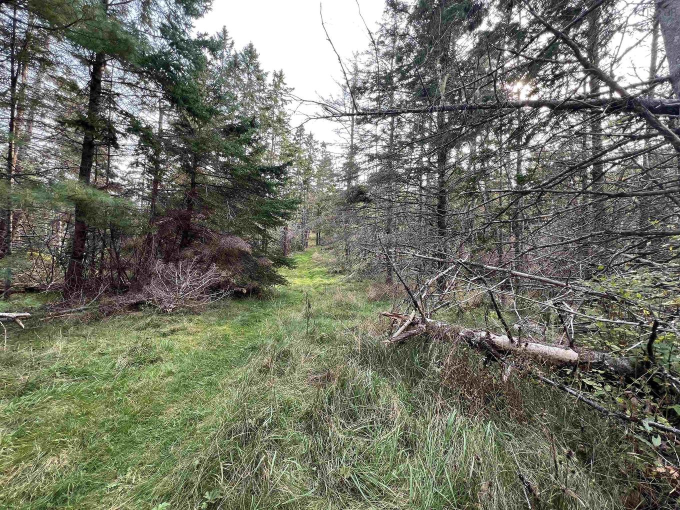 390 Conrads Road, Hubbards, NS