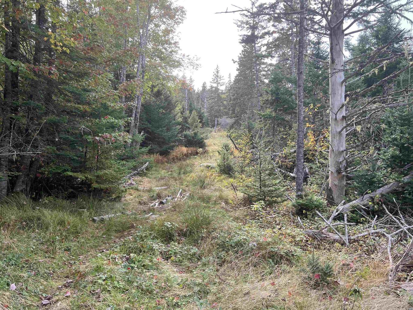 390 Conrads Road, Hubbards, NS
