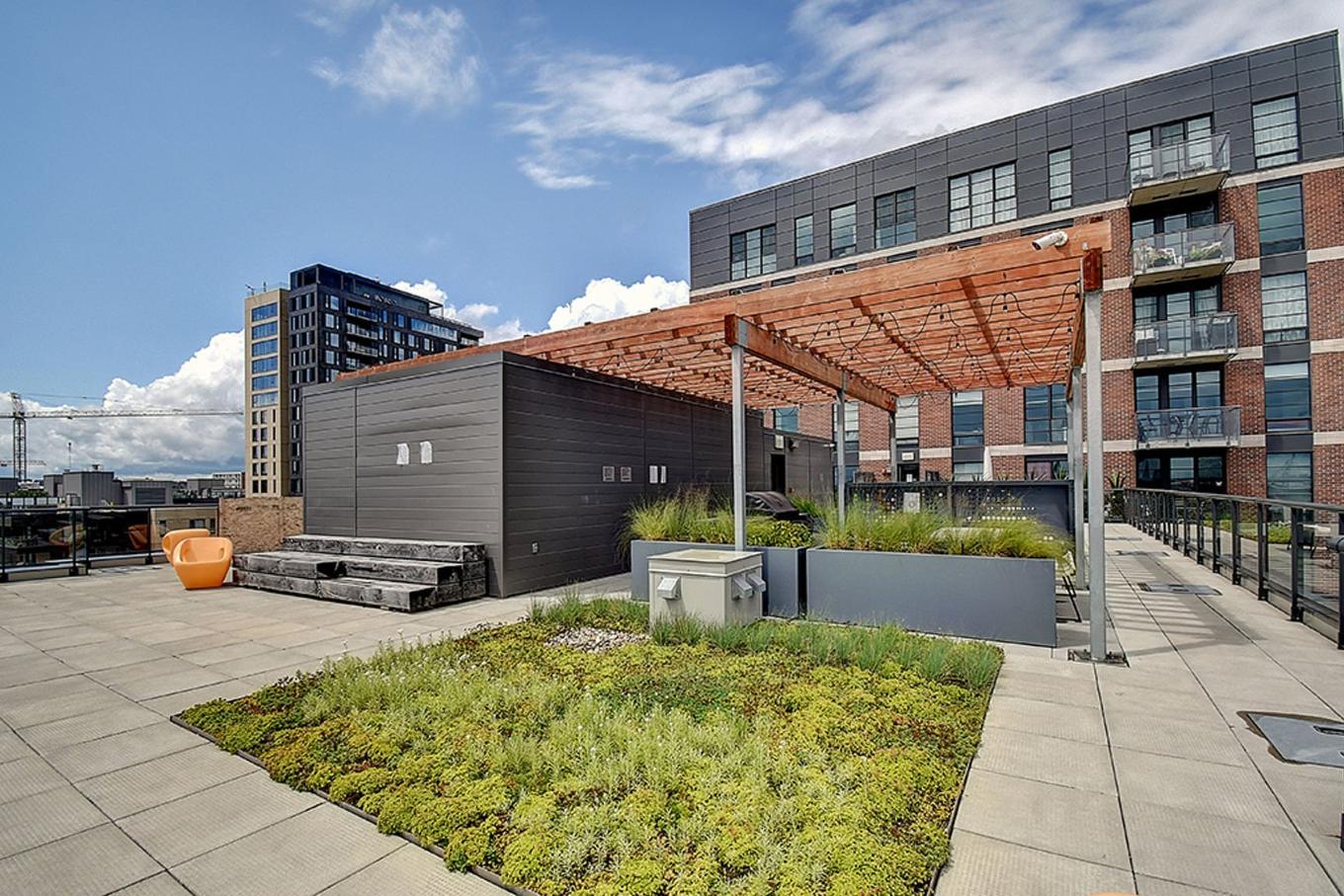 Terrasse - 802-1320 Rue Olier, Montréal (Le Sud-Ouest), QC - Outdoor