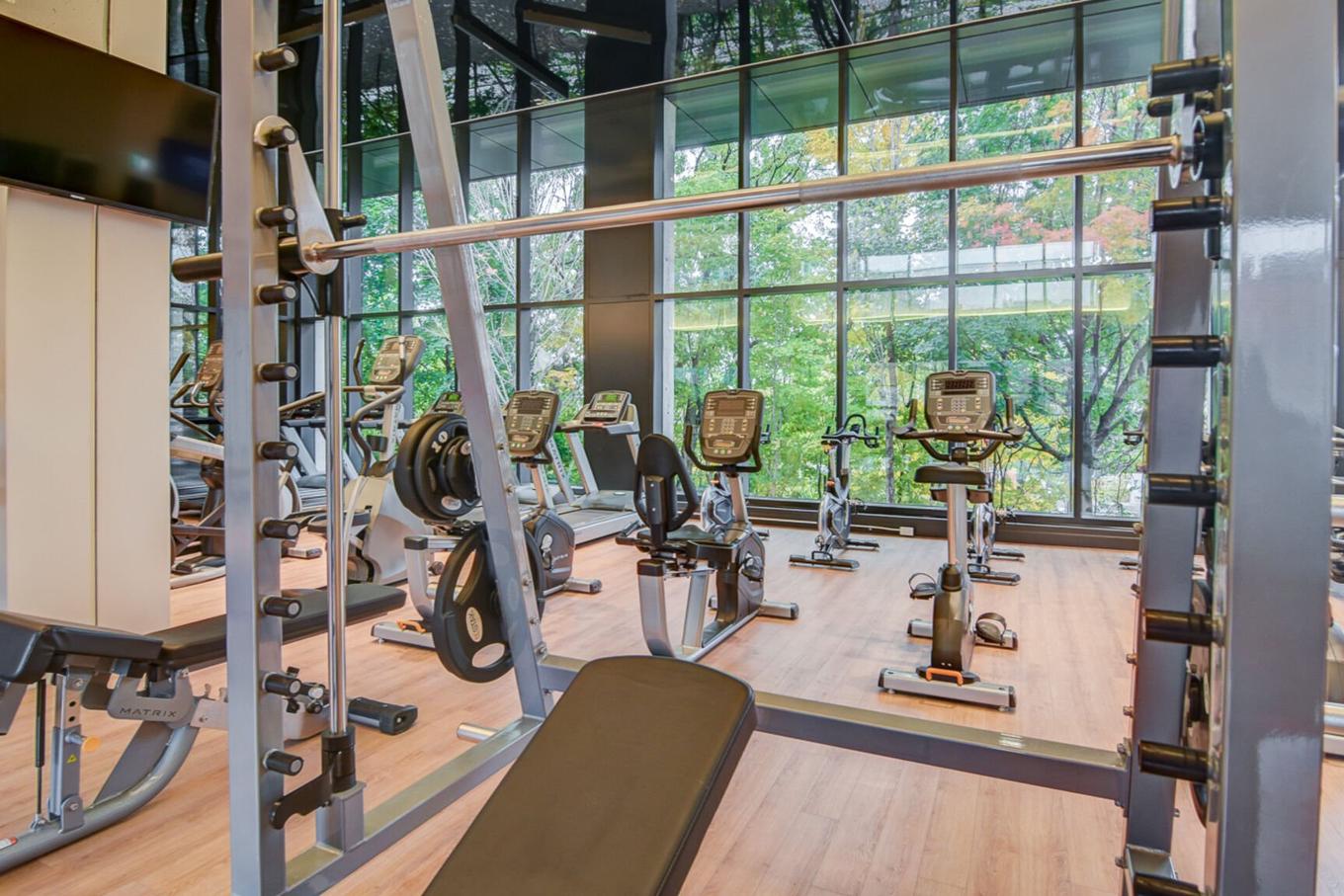 Exercise room - 1812-2000 Boul. René-Lévesque O., Montréal (Ville-Marie), QC - Indoor Photo Showing Gym Room