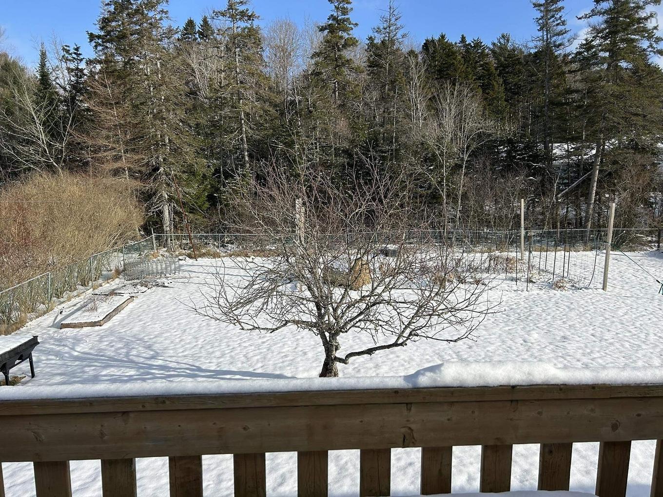 77 Harris Avenue, Truro, NS