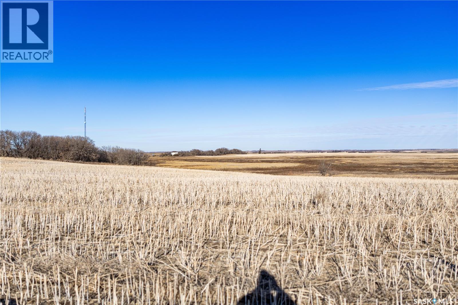 Meadowlark Development Package, Blucher Rm No. 343, SK