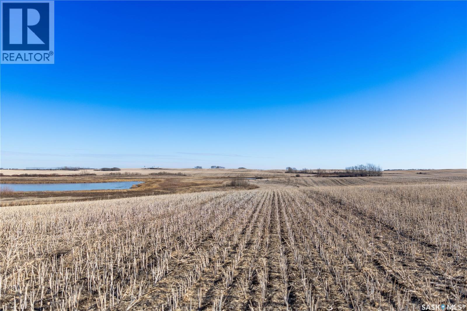 Meadowlark Development Package, Blucher Rm No. 343, SK