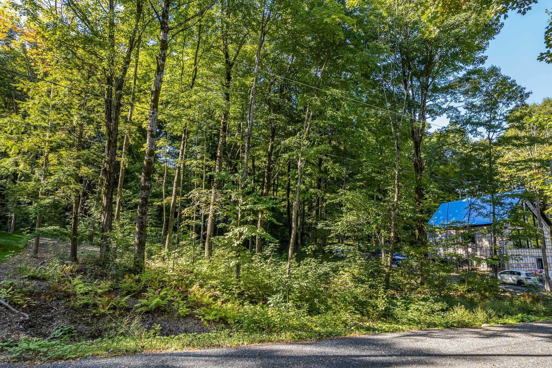 Terre/Terrain - Rue De Huntingdon, Dunham, QC