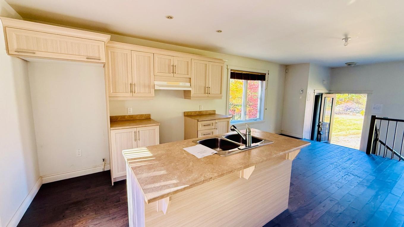 Cuisine - 178 Rue Des Tournesols, Saint-Colomban, QC - Indoor Photo Showing Kitchen With Double Sink