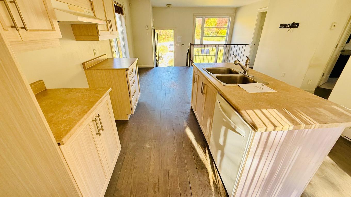 Cuisine - 178 Rue Des Tournesols, Saint-Colomban, QC - Indoor Photo Showing Kitchen With Double Sink