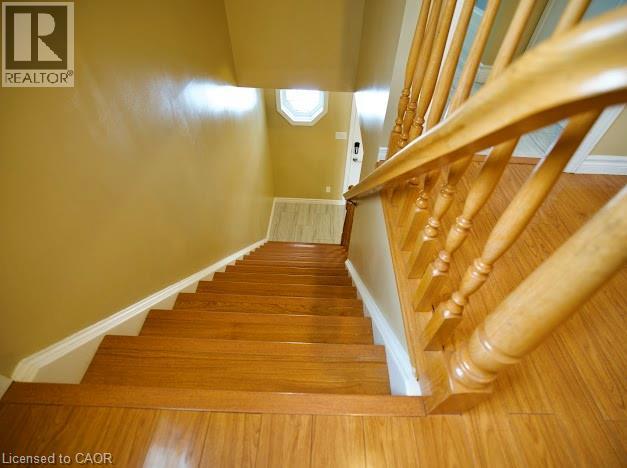 Stairs with wood finished floors and baseboards - 109 Beechmanor Crescent, Kitchener, ON - Indoor Photo Showing Other Room