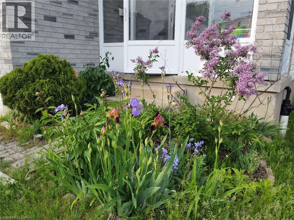 Exterior view - 109 Beechmanor Crescent, Kitchener, ON - Outdoor