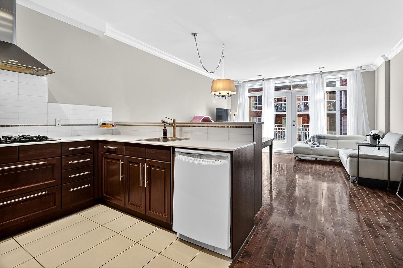 Kitchen - 202-54 Rue Ste-Marguerite, Montréal (Le Sud-Ouest), QC - Indoor Photo Showing Kitchen