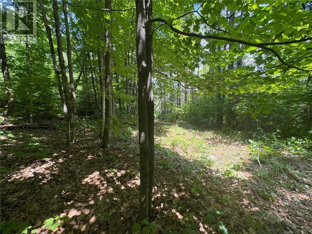 16 Jacklin, Seguin, ON