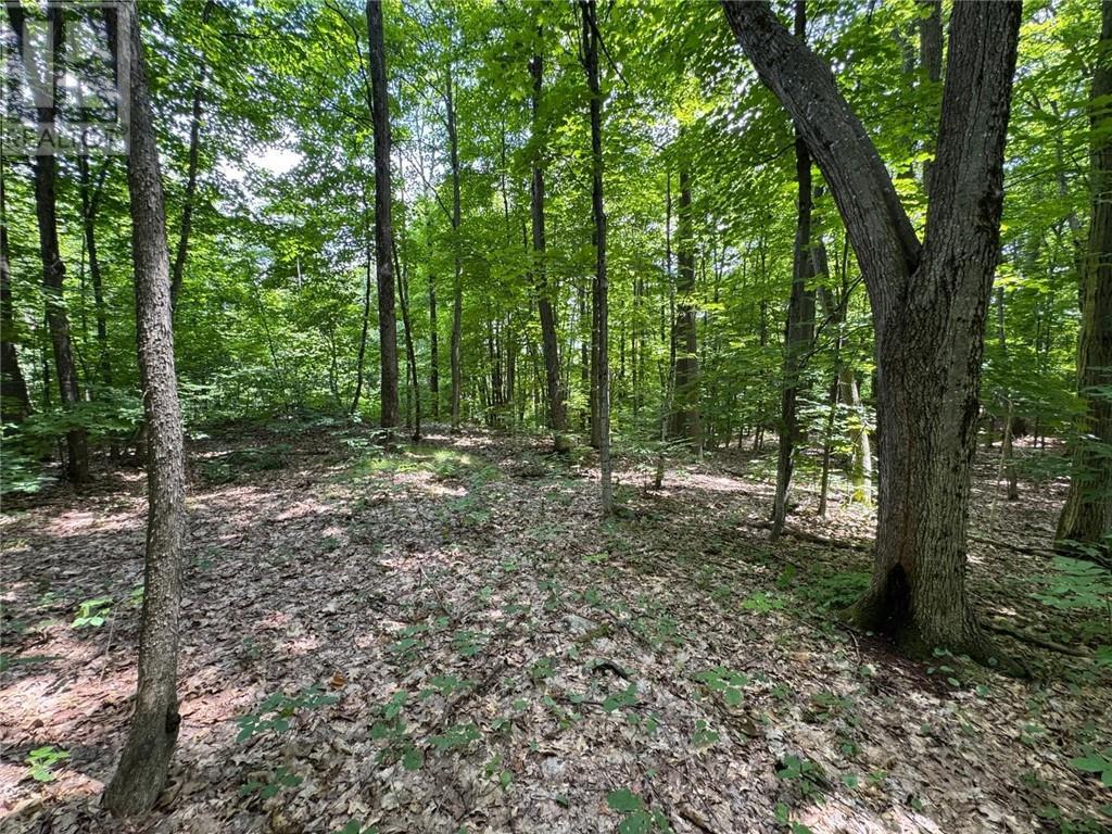 16 Jacklin, Seguin, ON
