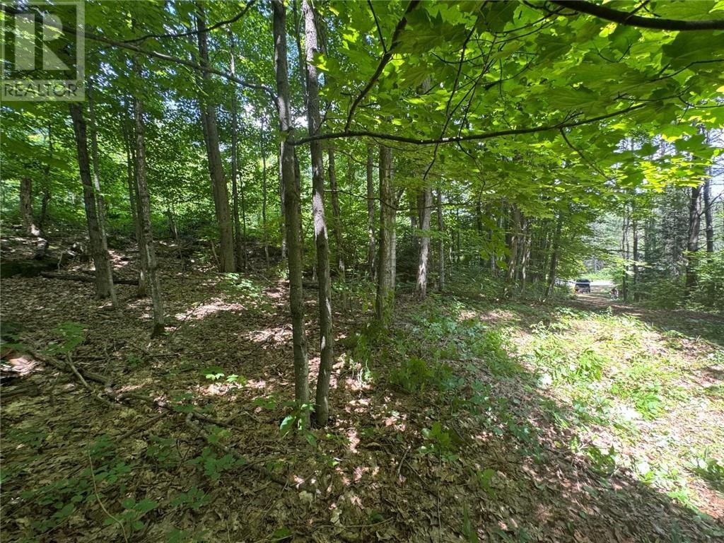 16 Jacklin, Seguin, ON