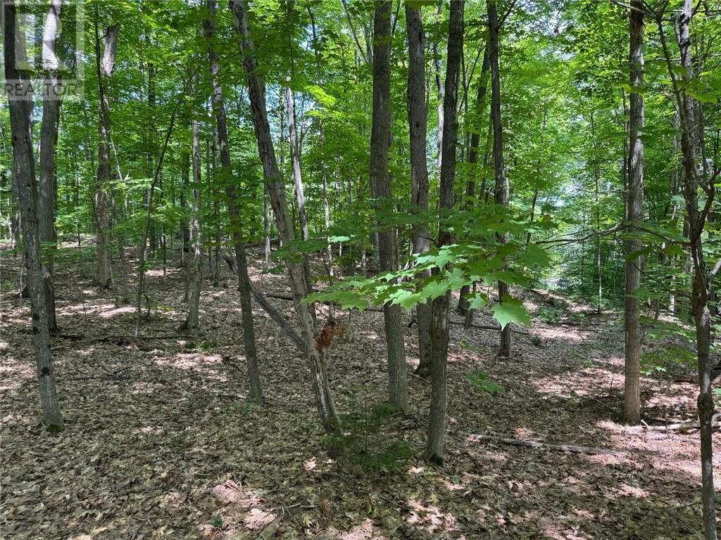 16 Jacklin, Seguin, ON