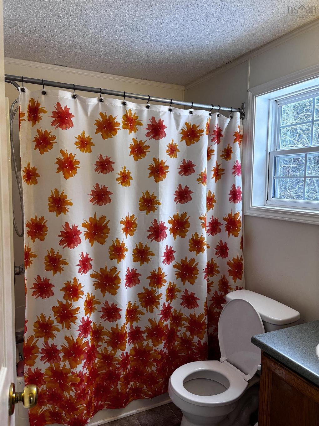 59 Gray Road, Fox Brook, NS