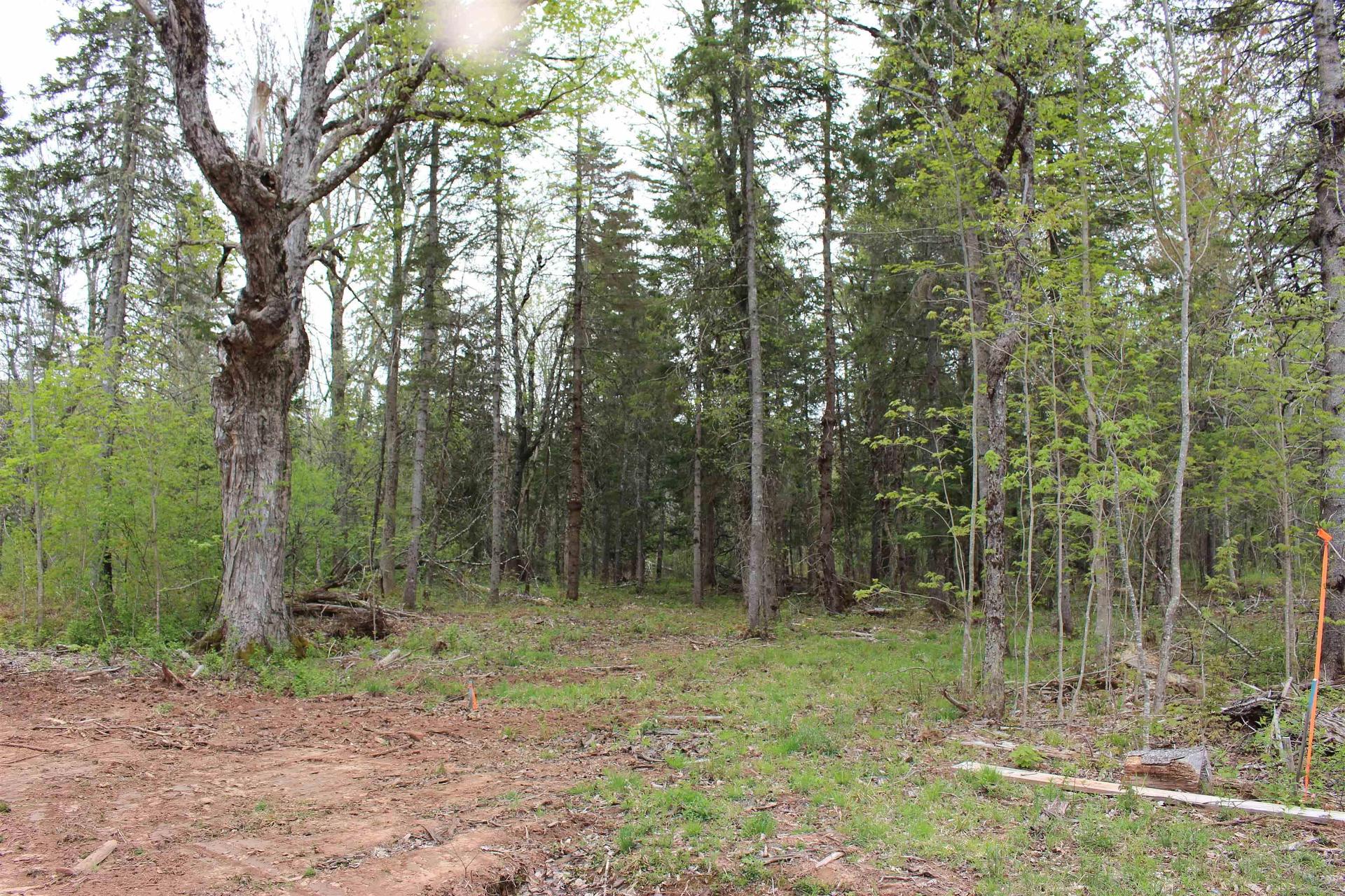 17 Glades Run, Wentworth, NS