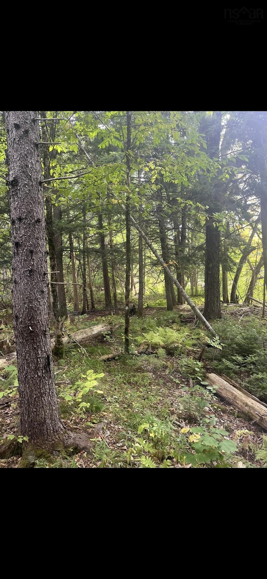 17 Glades Run, Wentworth, NS