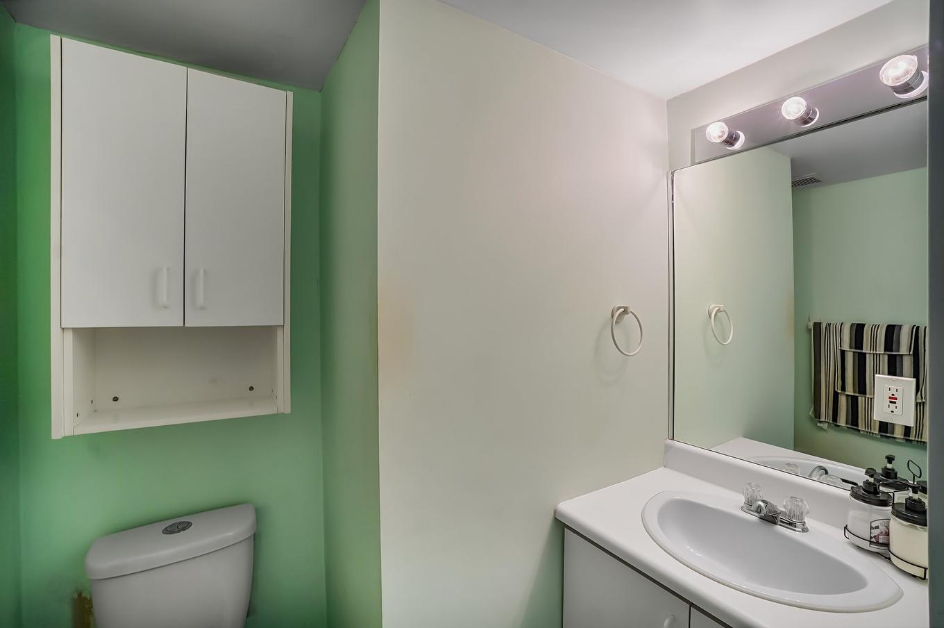 Powder room - 405-6851 Boul. Des Roseraies, Montréal (Anjou), QC - Indoor Photo Showing Bathroom