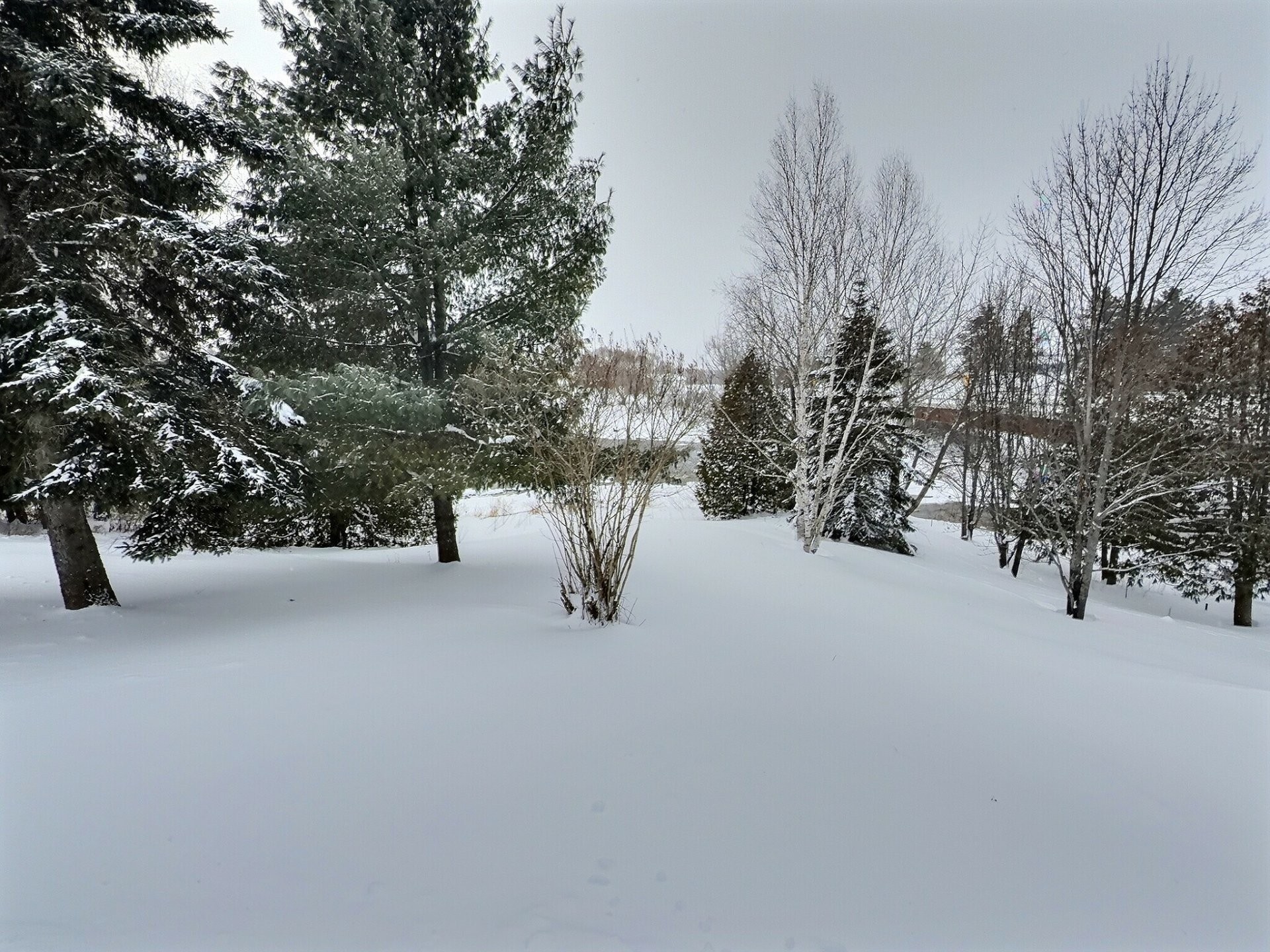 Courtyard - 762 Rue Principale, Rémigny, QC - Outdoor With View