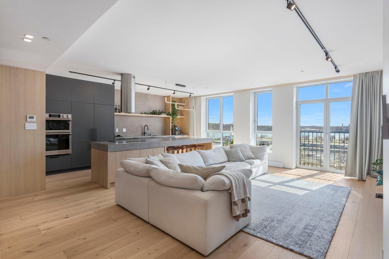 Salon - 302-781 Rue De La Commune E., Montréal (Ville-Marie), QC - Indoor Photo Showing Living Room