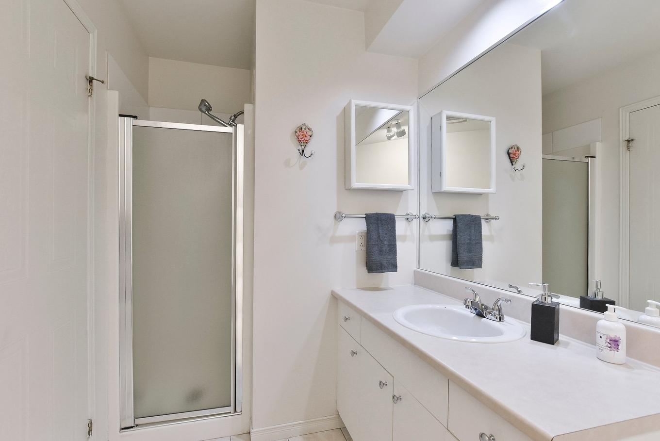 Bathroom - 245 Boul. Jérobelle, Saint-Jérôme, QC - Indoor Photo Showing Bathroom