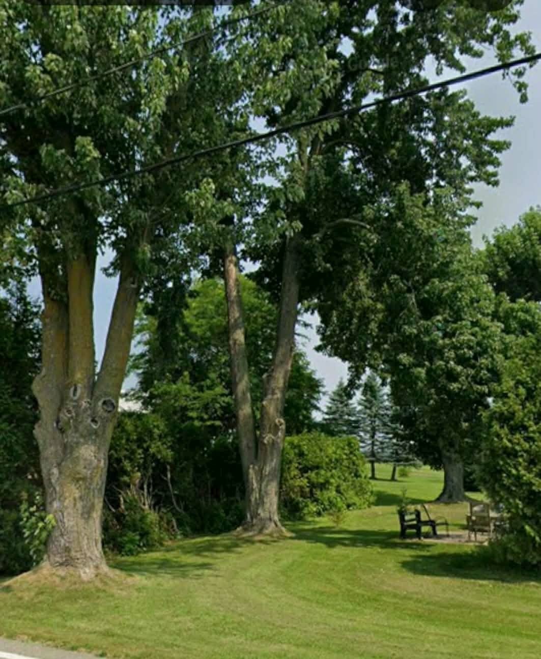 Cour - 2058 Rg Des Continuations, Saint-Jacques, QC - Outdoor