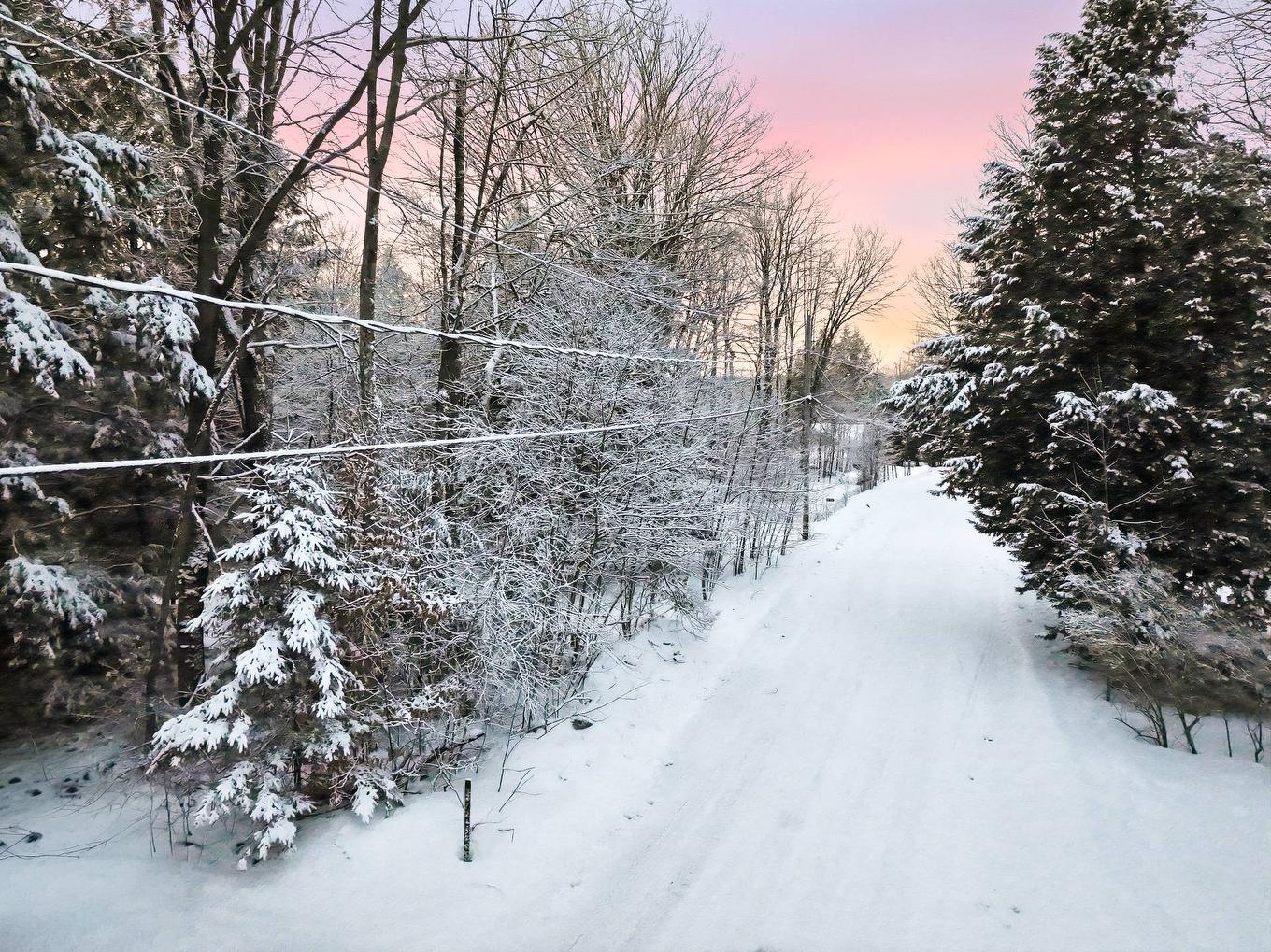 Terre/Terrain - 90 Rue Wilkinson, Dunham, QC