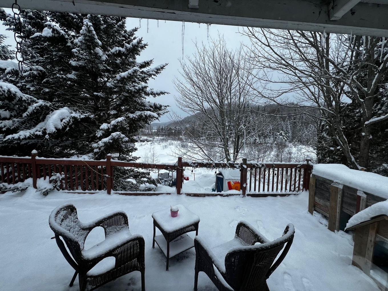 Cour - 170 Ch. Maplewood, Saint-Adolphe-D'Howard, QC - Outdoor