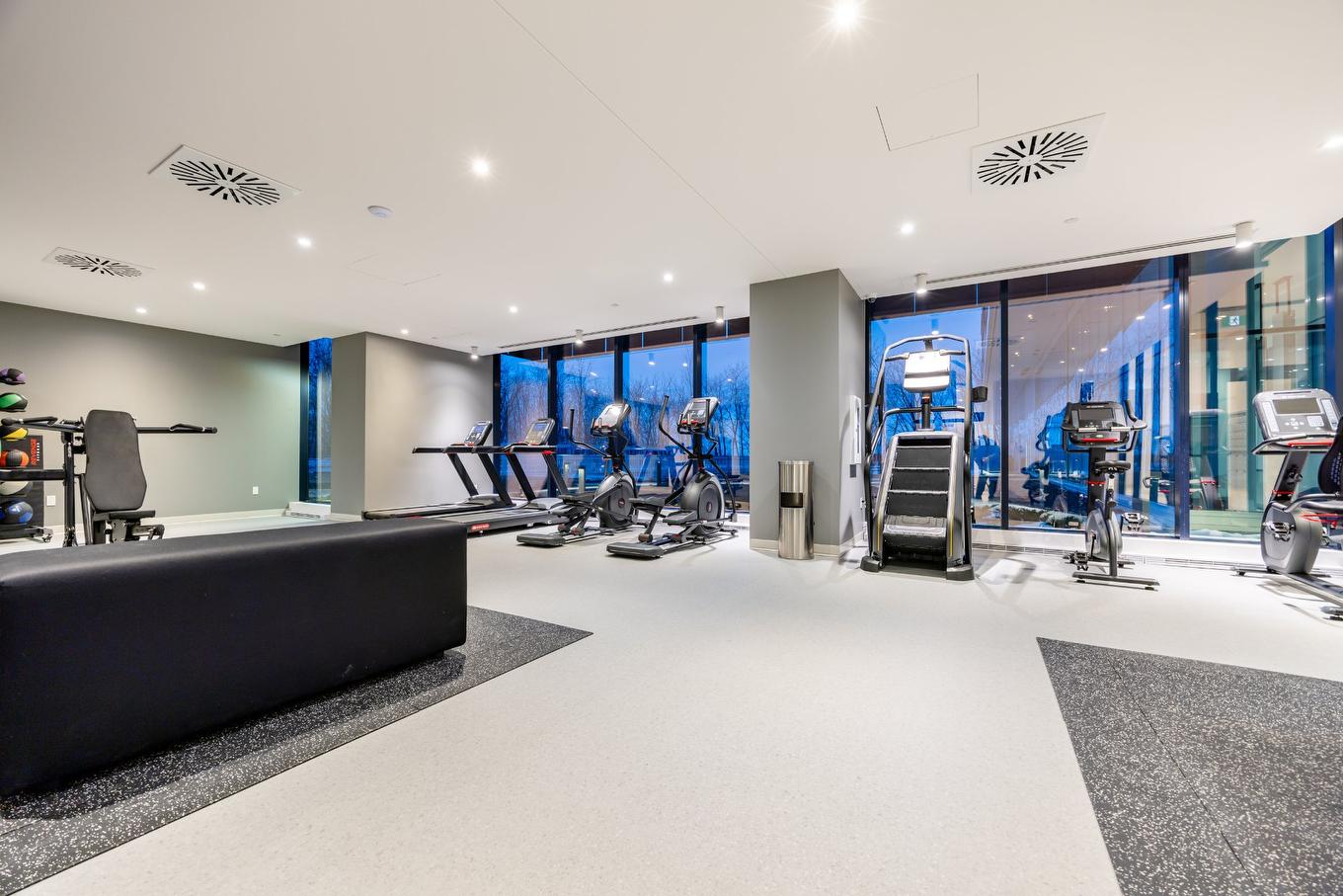 Exercise room - 1005-1000 Rue André-Prévost, Montréal (Verdun/Île-Des-Soeurs), QC - Indoor Photo Showing Gym Room