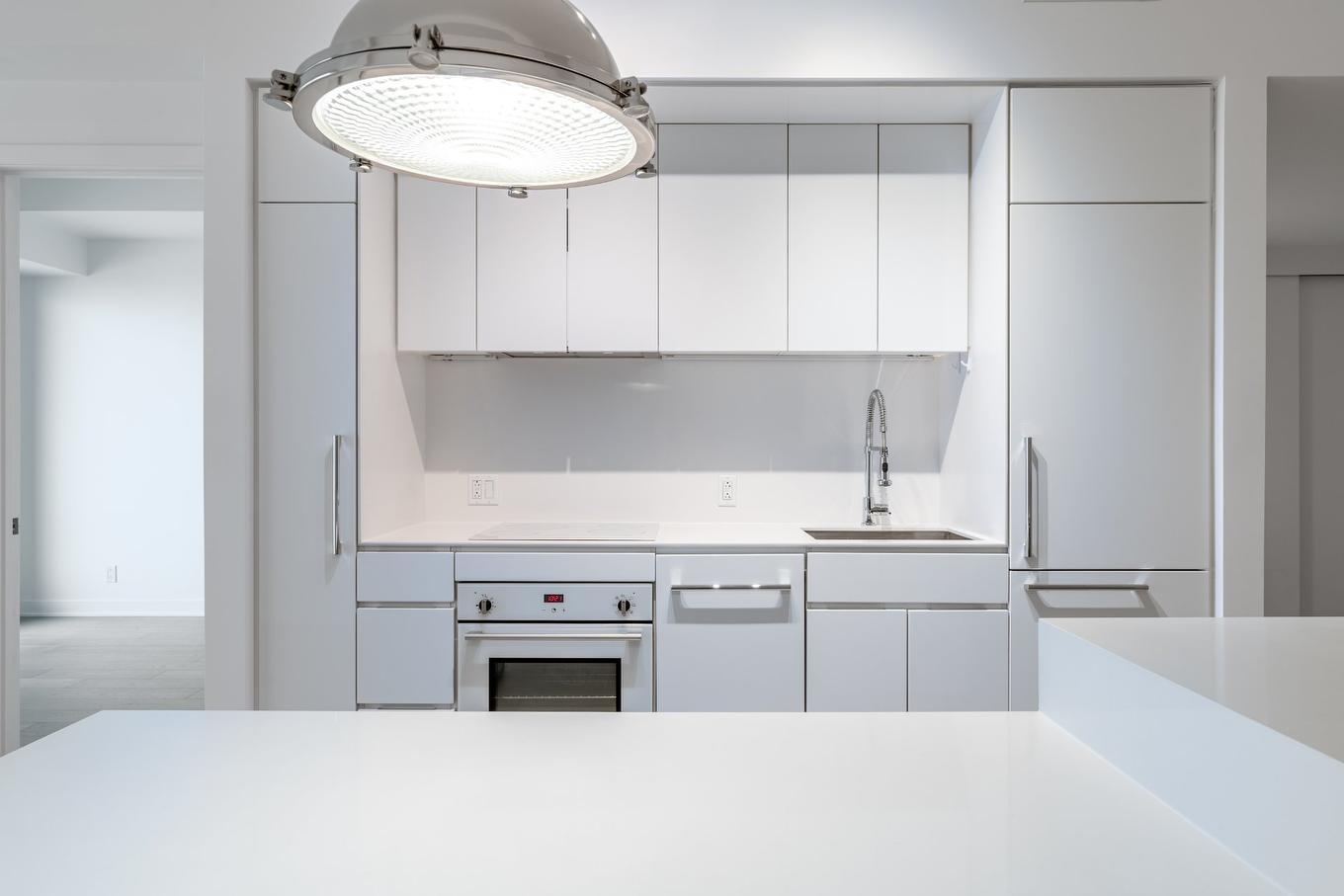 Kitchen - 2811-1288 Av. Des Canadiens-De-Montréal, Montréal (Ville-Marie), QC - Indoor