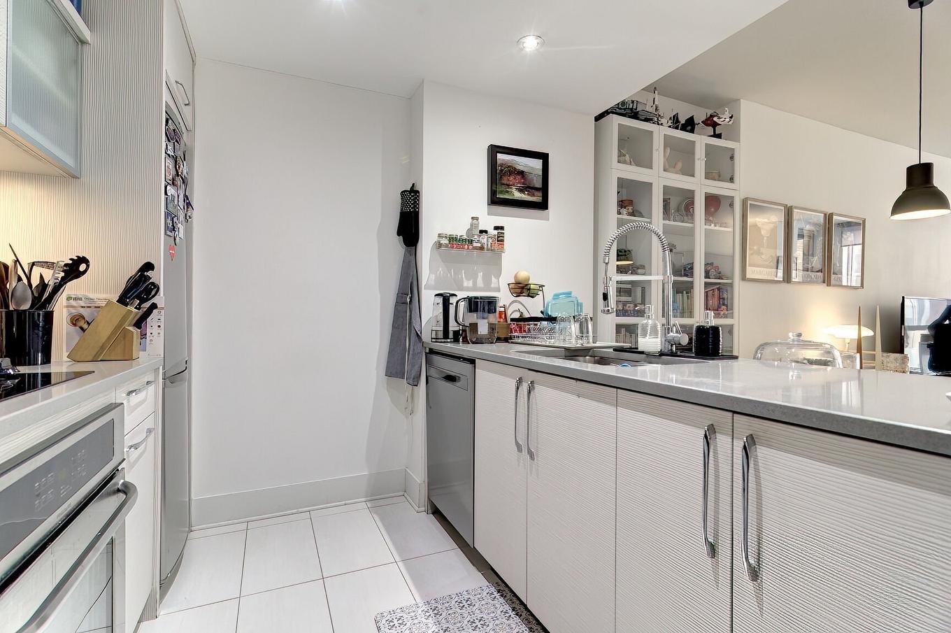 Cuisine - 312-370 Rue St-André, Montréal (Ville-Marie), QC - Indoor Photo Showing Kitchen