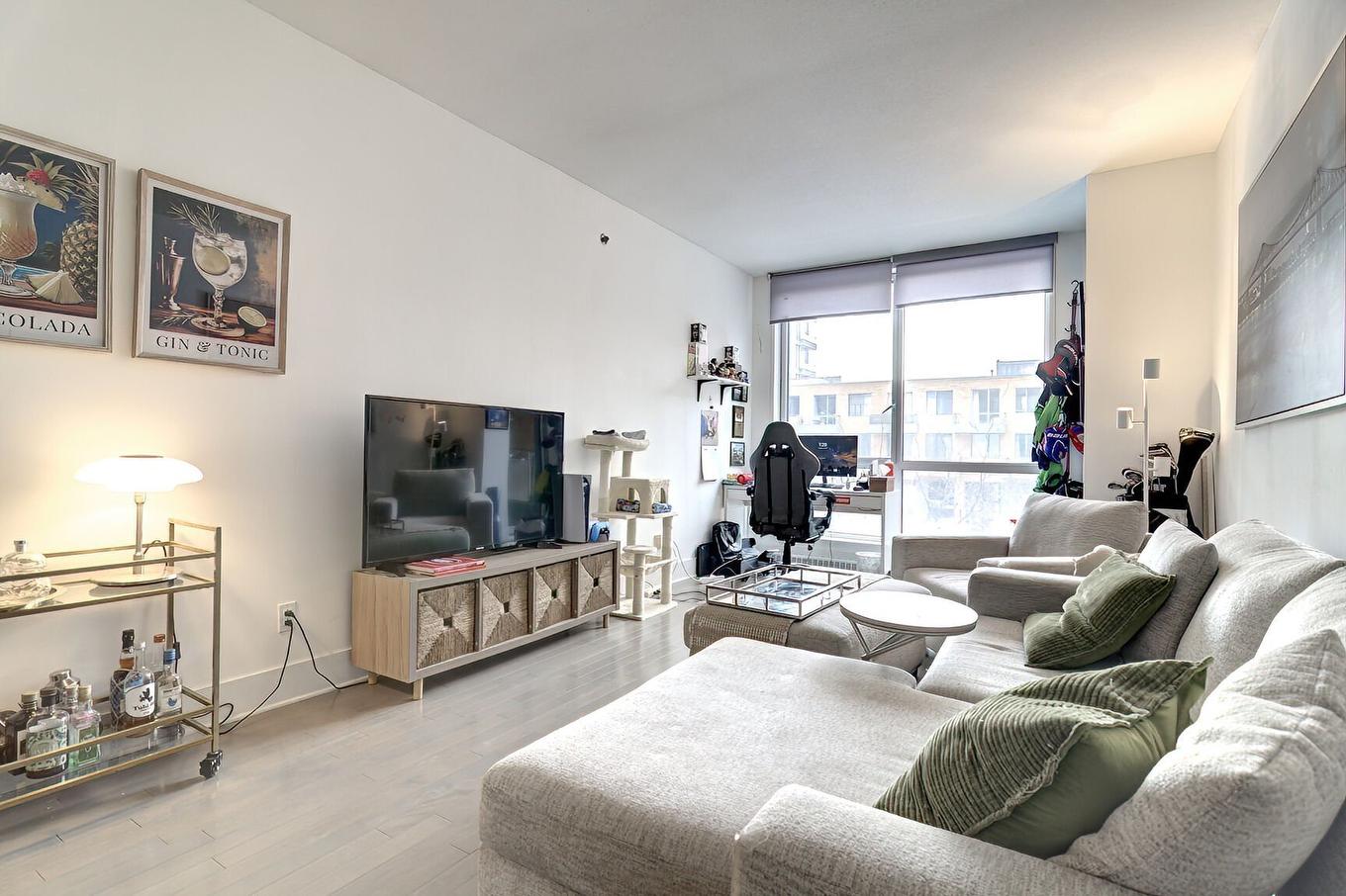 Salon - 312-370 Rue St-André, Montréal (Ville-Marie), QC - Indoor Photo Showing Living Room