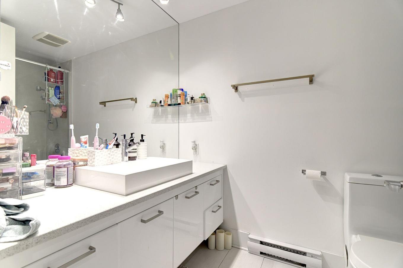 Salle de bains - 312-370 Rue St-André, Montréal (Ville-Marie), QC - Indoor Photo Showing Bathroom