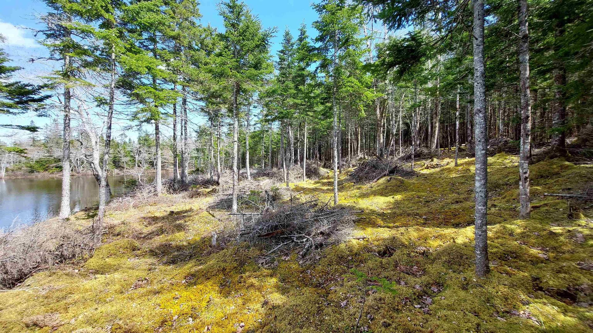 Lot 4 Highway 4, False Bay, NS