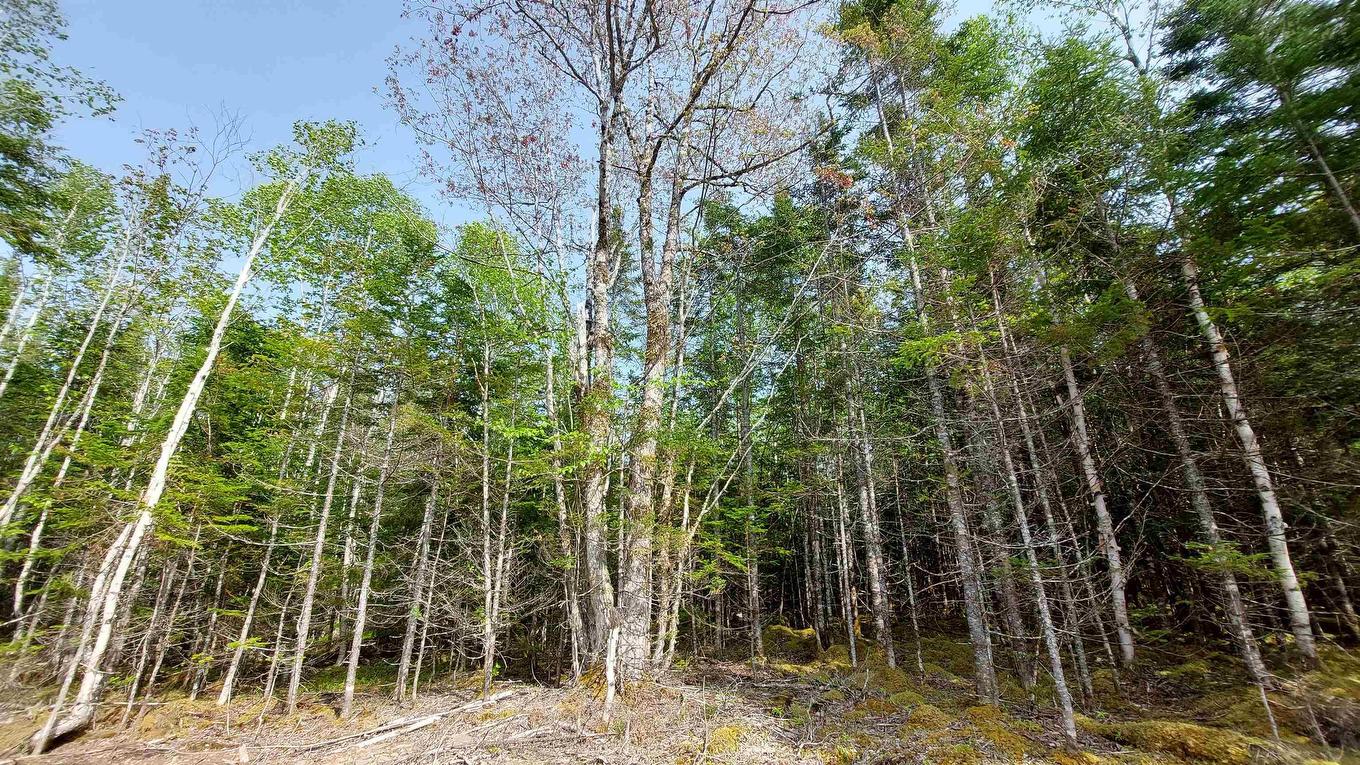 Lot 4 Highway 4, False Bay, NS