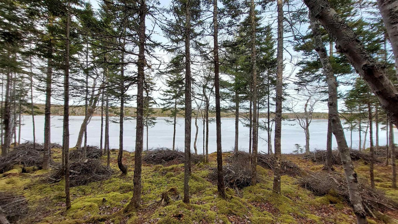 Lot 4 Highway 4, False Bay, NS