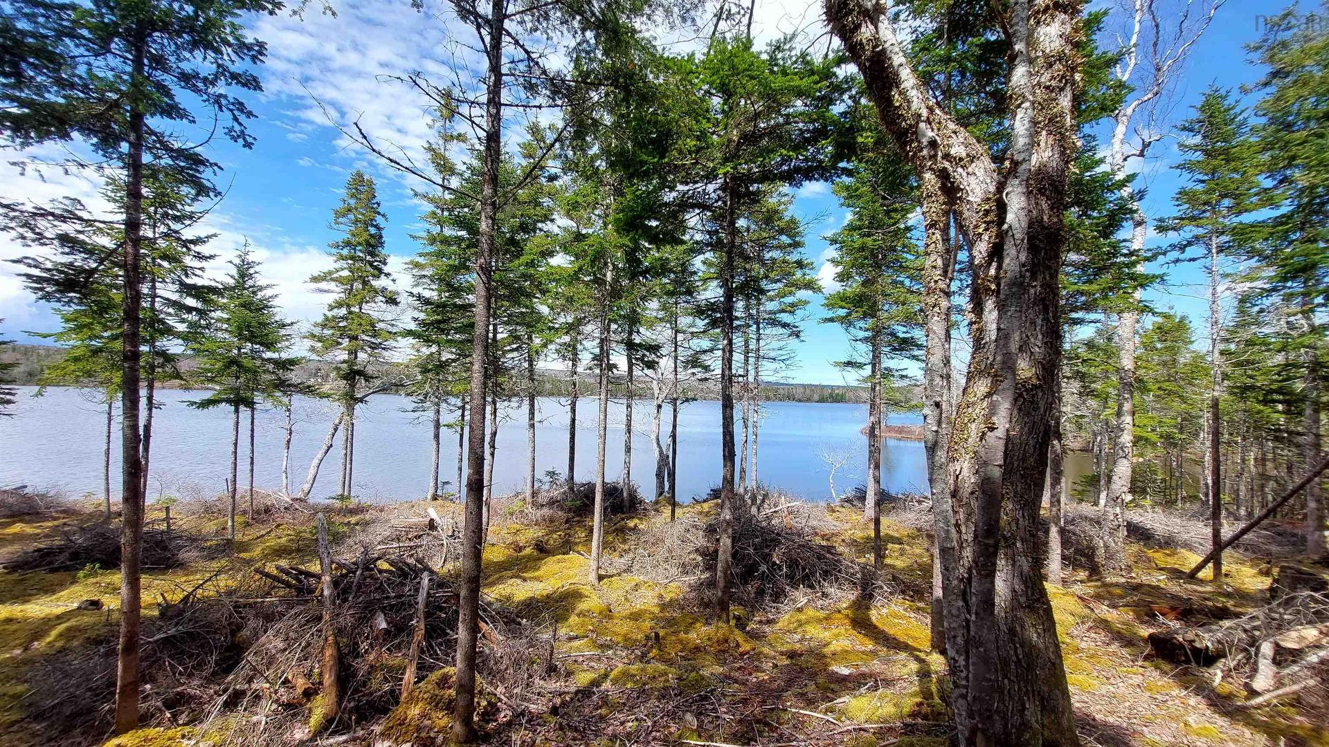 Lot 4 Highway 4, False Bay, NS