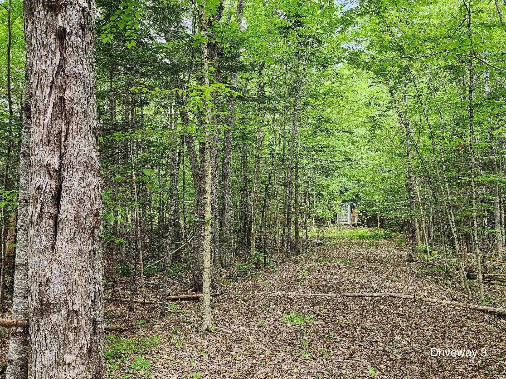 25 Hirtle Drive, Hemford, NS