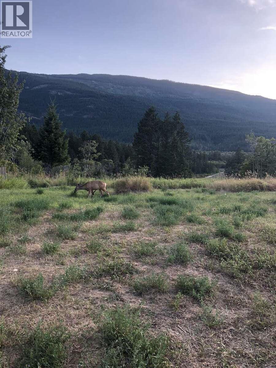 4764 Riverview Drive, Edgewater, BC - Outdoor With View