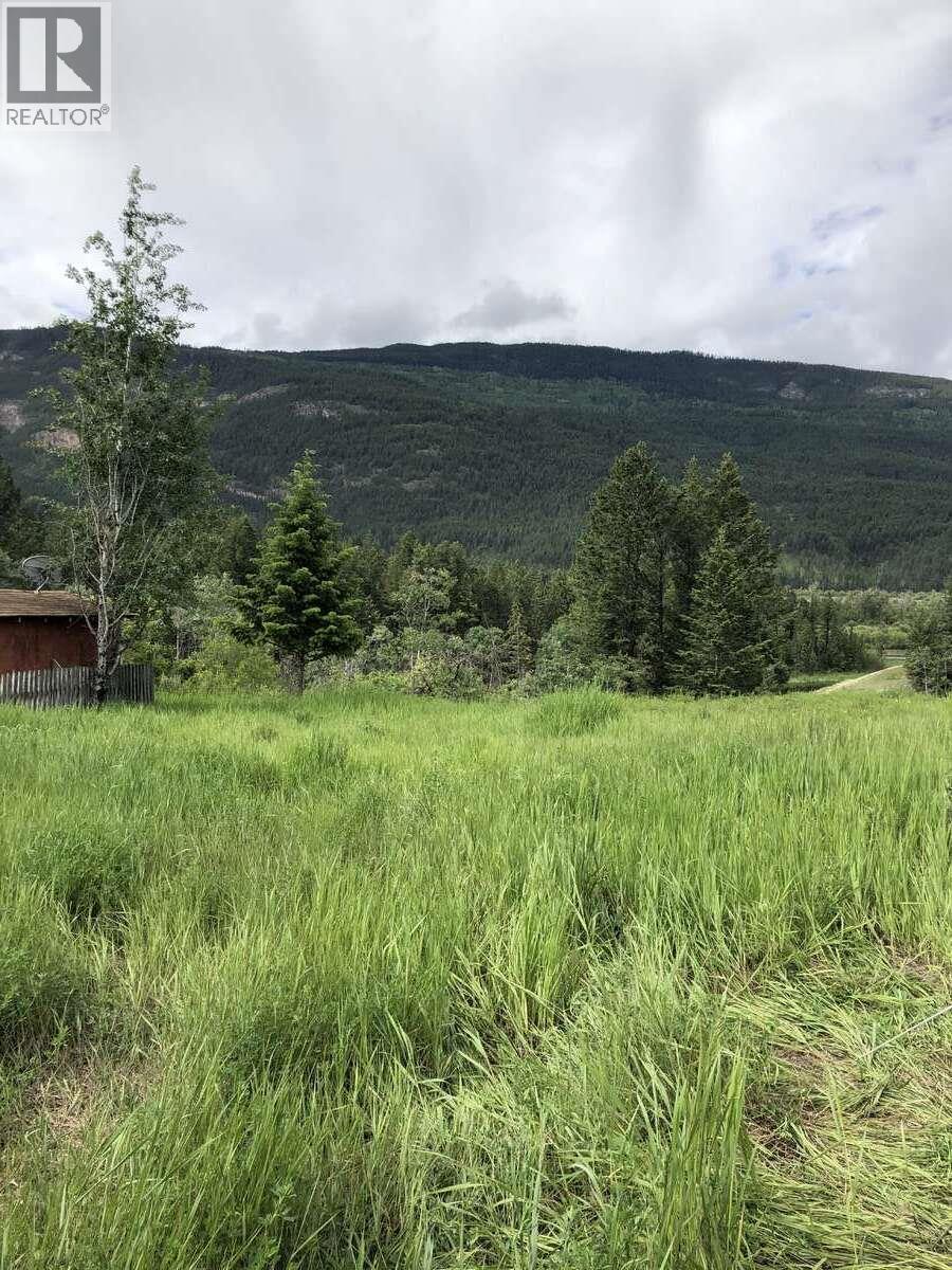 4764 Riverview Drive, Edgewater, BC - Outdoor With View